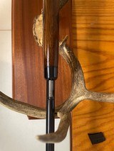 Winchester - 15 of 20