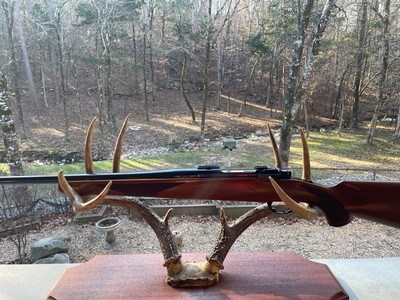 RUGER BICENTENNIAL M77R 250 SAVAGE RIFLE WITH ORIGINAL BOX - Image 18 of 18