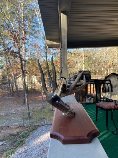 RUGER BICENTENNIAL M77R 250 SAVAGE RIFLE WITH ORIGINAL BOX - Image 2 of 18