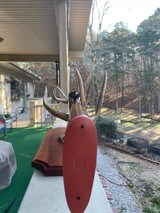 RUGER BICENTENNIAL M77R 250 SAVAGE RIFLE WITH ORIGINAL BOX - 5 of 19