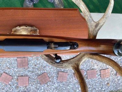 RUGER BICENTENNIAL M77R 250 SAVAGE RIFLE WITH ORIGINAL BOX - Image 14 of 18