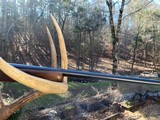 ***RUGER MODEL 77/2222 HORNET RIFLE LIKE NEW*** - 12 of 17