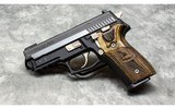 SIG Sauer~P229 Equinox~40 SW - 2 of 5