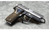 SIG Sauer~P229 Equinox~40 SW - 1 of 5