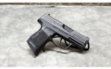 SIG Sauer~P365~380 Auto - 1 of 4