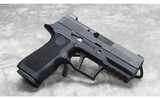 SIG Sauer~ P320 X-Compact~ 9x19