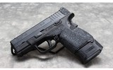 Springfield Armory~ XDS-9~ 9x19 - 2 of 2