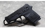 Smith & Wesson~ BodyGuard 380~ .380 ACP - 2 of 2