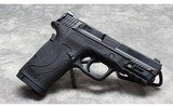 Smith & Wesson~ 380 Shield EZ~ .380 ACP