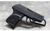 Ruger~ LCP Gen 1~ .380 ACP