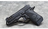 Kimber~ Micro 9 ESV~ 9x19 - 2 of 2