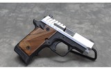 Springfield Armory~ 911~ .380 ACP