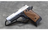 Springfield Armory~ 911~ .380 ACP - 2 of 2