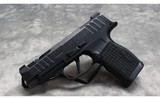 SIG Sauer~ P365 XL Spectre (Distressed Slide)~ 9x19 - 2 of 2