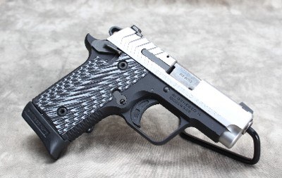 Springfield Armory~ 911~ .380 ACP