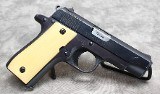 Colt~ Government Model, Series 80~ .380 ACP