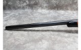 Remington~ 700~ .22-250 Remington - 8 of 11