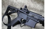 Palmetto State Armory~PA-15~.223/5.56 - 8 of 11