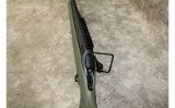 Ruger~American~.22-250 - 11 of 11