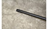 Ruger~American~.22-250 - 10 of 11