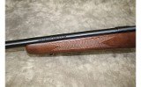 Savage~93R17~.17 HMR - 8 of 11