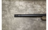Ruger~American~.223/5.56 - 10 of 10