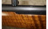 Tikka~M558~.243 Winchester - 11 of 11