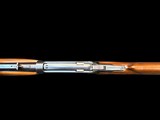 COLLECTOR GRADE 1949 WINCHESTER MODEL 71 DELUXE .348 WCF 24” 95%+ - 16 of 19