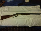 Henry Golden Boy 17HMR - 1 of 13