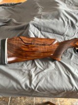 Ceasar Guerini Summit Ascent 12 ga/ 32" Right handed - 2 of 15