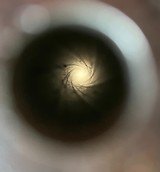 Kittredge Shipped Heavy Barrel Sharps Model 1874 45 2 7/8 - 12 of 13