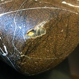 Evolution USA .300 WSM, Remington 700, 24-inch, brake, three position, jeweled, Leupold, Talley, pristine bore, 98 percent, layaway - 9 of 9