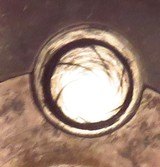 Smith & Wesson Model 320 Revolving Rifle, .320 S&W, serial 969, 18-inch, shoulder stock - 14 of 15