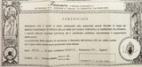famars Excalibur BLX 20 gauge, 29.25-inch, 3-inch, 14.65 LOP, 7.2 pounds, Bonsi Diego, cased, certificates, over 95 percent, layaway - 15 of 15