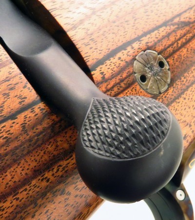 Dakota 76 special order .400 H&H Magnum, engraved, color case, sights, Swarovski, one of a set of three, high condition, layaway - Image 14 of 15