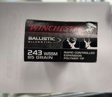 Winchester 243 WSSM 95gr Ballistic Silver Tip - 1 of 2