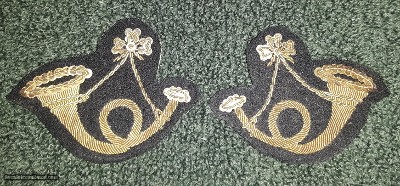 Scarce Pair of 1830's Officer Coat Tail and Militia Cap Insignia