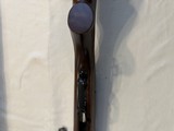 CZ 527 Varmint .204 Ruger NIB Unfired - 9 of 15