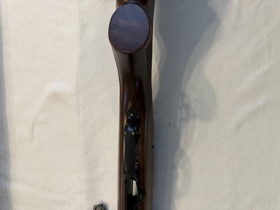 CZ 527 Varmint .204 Ruger NIB Unfired - Image 9 of 15