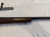 CZ 527 Varmint .204 Ruger NIB Unfired - 3 of 15