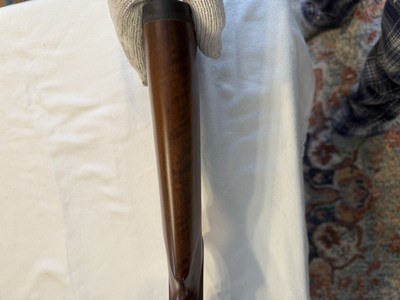 CZ 527 Varmint .204 Ruger NIB Unfired - Image 11 of 15