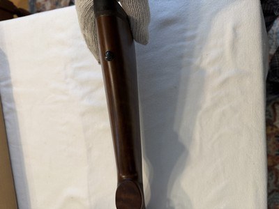 CZ 527 Varmint .204 Ruger NIB Unfired - Image 8 of 15