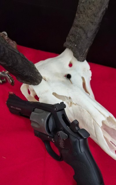 SMITH & WESSON 357PD AIRLITE 41 MAGNUM - Image 5 of 5