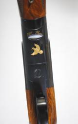 MAROCCH CONTRAST - SPECIAL GOLD LIVE PIGEON MODEL - GIOVANELLI ENGRAVED - SALE PENDING - 6 of 20