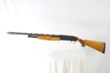 WINCHESTER MODEL 12 - 20 GAUGE SKEET - BIRDS EYE MAPLE STOCK - 8 of 10
