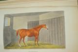 22 ORIGINAL HENRY ALKIN HAND COLORED PRINTS FROM 1822 - CONTAINED IN A LIMITED EDITION 1 OF 500 BOOK - 9 of 14