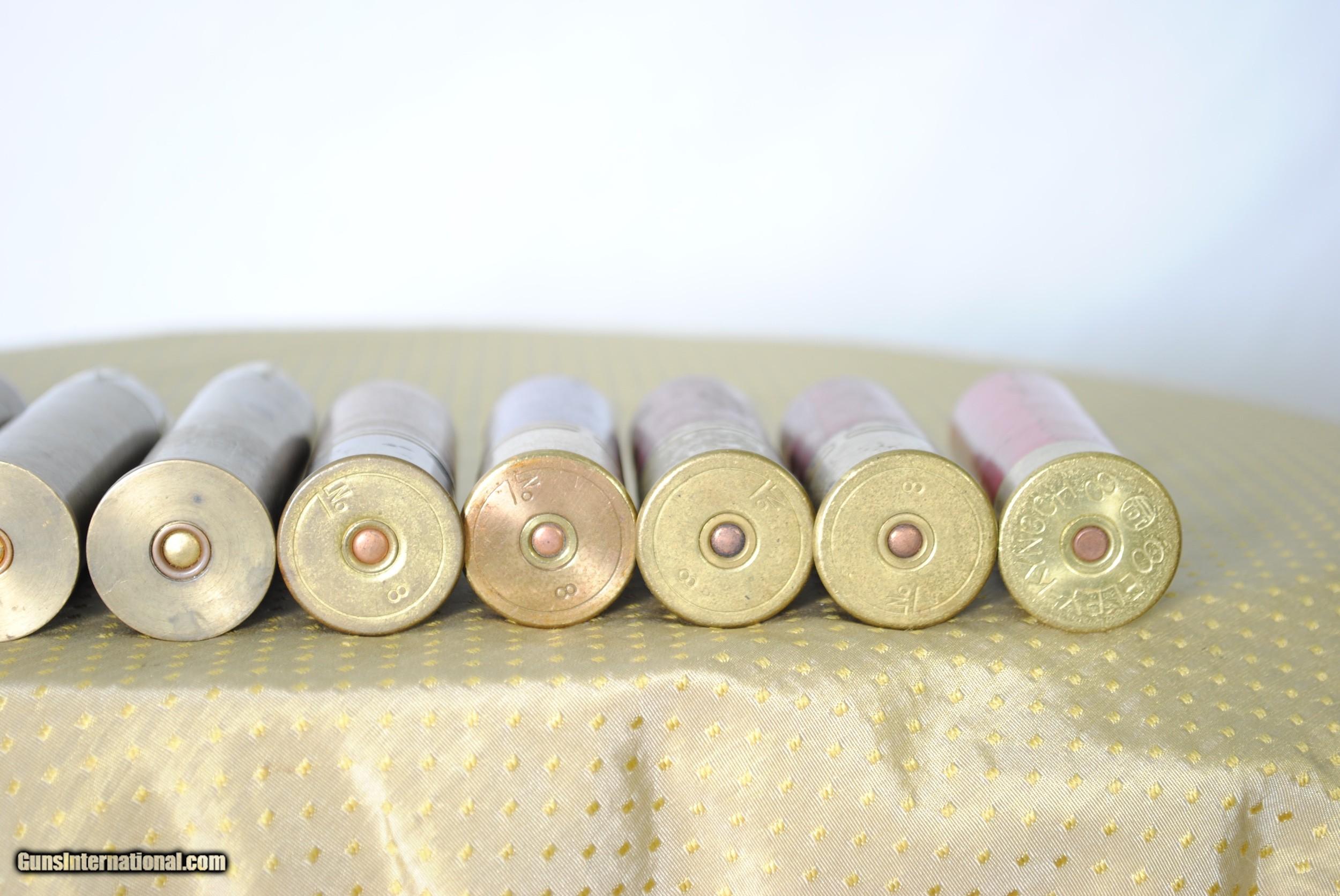 COLLECTION OF 8 BORE CARTRIDGES - ENGLISH AND AMERICAN