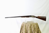 MANUFACTURE LIEGEOISE D'ARMAS - HAMMER SHOTGUN WITH STEEL BARRELS AND PIGEON STYLE RIB WITH GOLD LETTERING - 4 of 11