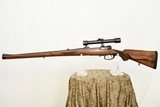 GREIFELT FULL STOCK MAUSER IN 5.6 X 61 VOM HOFE SUPER EXPRESS - RETAILED BY CARL STIEGELE - 2 of 25