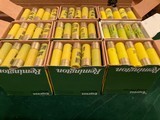 9 BOXES OF REMINGTON 20 GAUGE EXPRESS MAGNUM SHELLS - 2 3/4